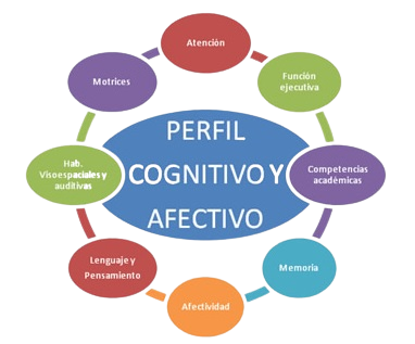 Valoracion Neuropsicopedagógica niños y jovenes en Cali Colombia